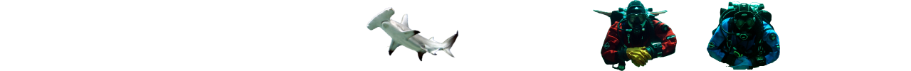 Diveteam Sharkfood Logo