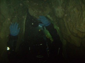 Blick in den Cave Teil